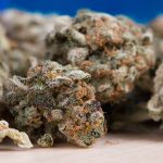 Cannabis Legale: scopi ed utilizzi terapeutici