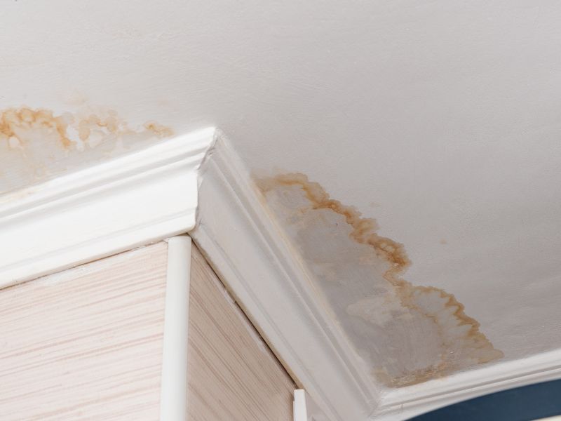 Perdite d'acqua dal soffitto Chi è responsabile